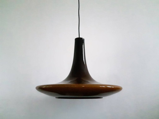 Tulip Glass Pendant Lamp From Peill & Putzler