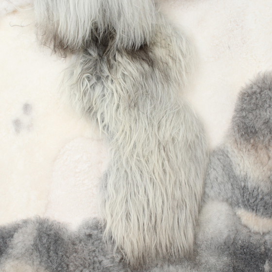 Image 1 of Sheepskin XXL