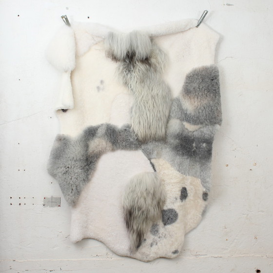 Image 1 of Sheepskin XXL