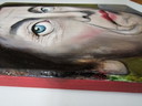 Postma - Retrato de una mujer, óleo sobre tabla, 2008