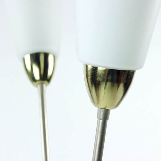 Image 1 of Vintage floor lamp by Kamenicky Senov, Czechoslovakia 1960