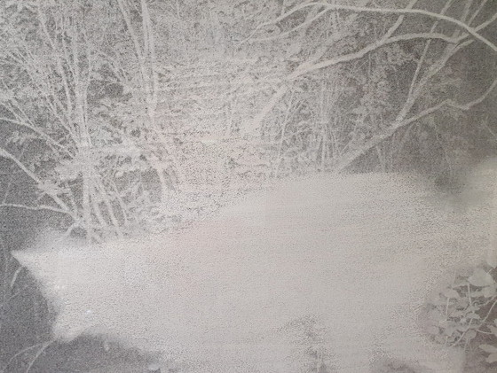 Image 1 of Specter, Glen Baldridge