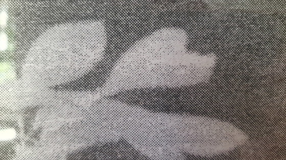 Image 1 of Specter, Glen Baldridge