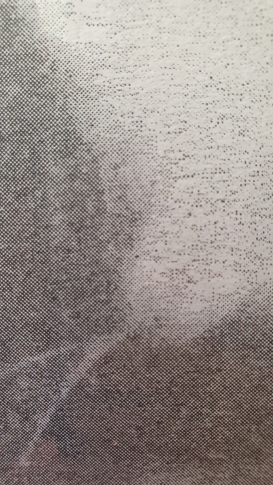 Image 1 of Specter, Glen Baldridge