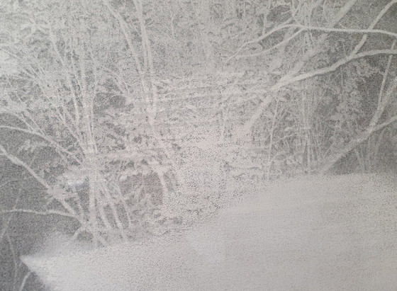 Image 1 of Specter, Glen Baldridge