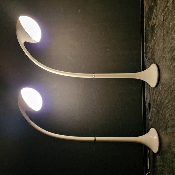 Image 1 of Vintage "Lampione" floor lamp by Fabio Lenci for Guzzini, Italy 1970s