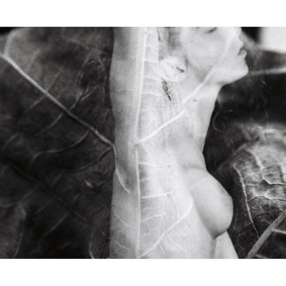 Image 1 of Dipinto d'epoca Natural Movements 08 di Meïdhy Bichon, 2019