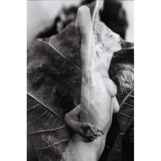 Image 1 of Dipinto d'epoca Natural Movements 08 di Meïdhy Bichon, 2019