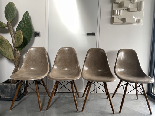 4x Eames Dsw In Raw Umber - Herman Miller