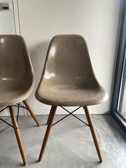 4x Eames Dsw In Raw Umber - Herman Miller