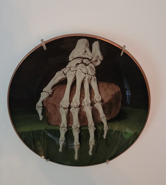 Image 1 of Wallware Decorative Wall Signs Anatomy