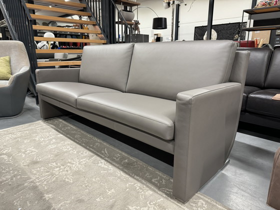 Image 1 of Leolux Evidence Timandra 3 Seater sofa gray