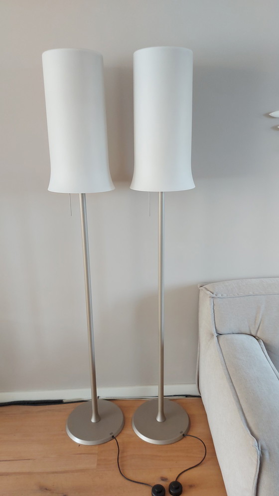 Image 1 of 2x Rolf Benz Capello Floor Lamp