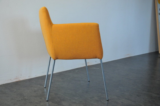 Image 1 of 4x Label Gerard van den Berg dining chair Tiba