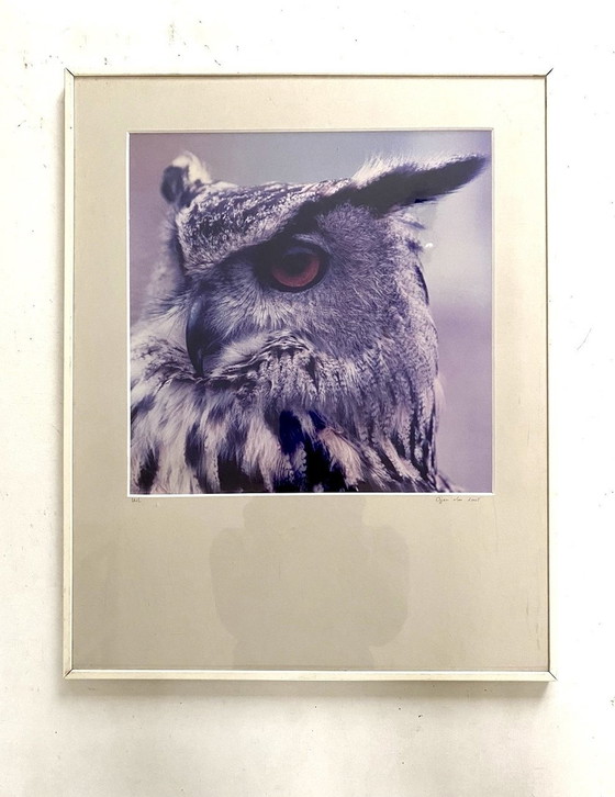 Image 1 of Wim Oyen - Owl