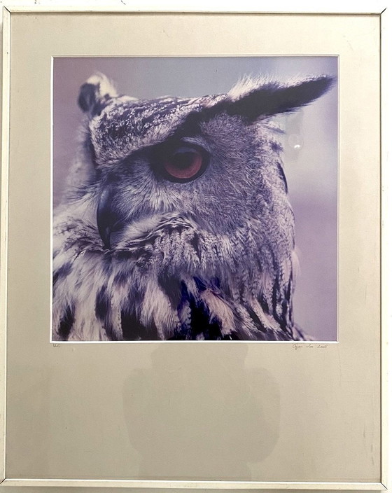 Image 1 of Wim Oyen - Owl