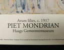 Piet Mondrian, Authorized Original Color Exhibition Poster, High Quality, Limited Edition: "Aronskelken 1917". In Excellent