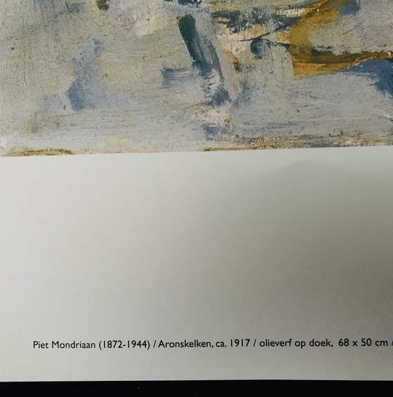 Image 1 of Piet Mondrian, Authorized Original Color Exhibition Poster, High Quality, Limited Edition: "Aronskelken 1917". In Excellent