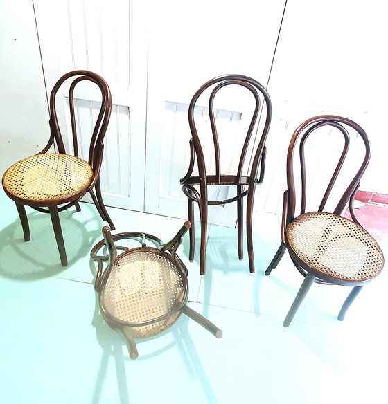 Image 1 of 4x Chaise Thonet No. 18