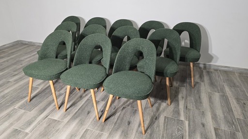 Dining Chairs By Antonin Suman, 1960S, Set Of 12