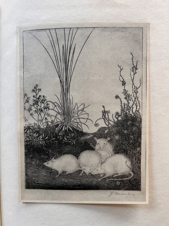 Image 1 of Jan Mankes 1889-1920 / Libro de obras raras 1927 (Edición limitada n.° 11 de 100)