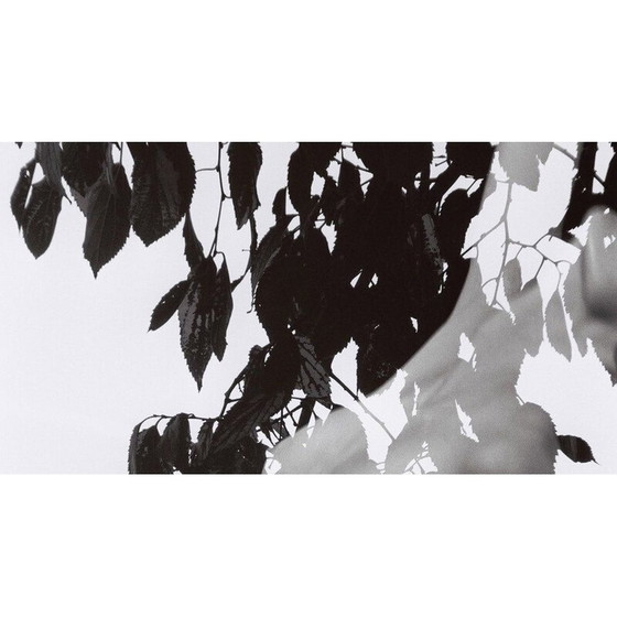 Image 1 of Dipinto vintage Mouvements Naturels 01 di Meïdhy Bichon