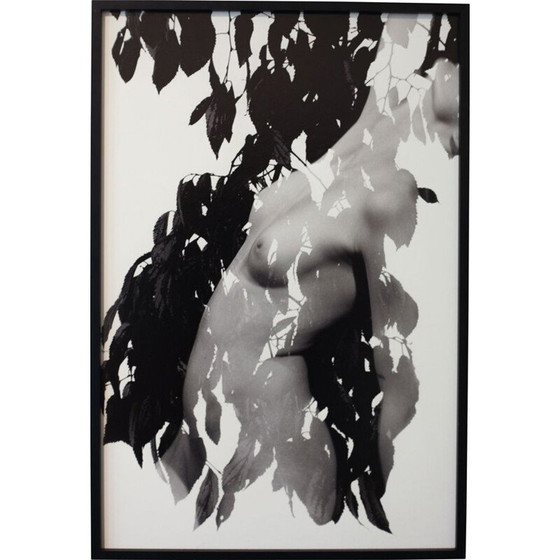 Image 1 of Dipinto vintage Mouvements Naturels 01 di Meïdhy Bichon