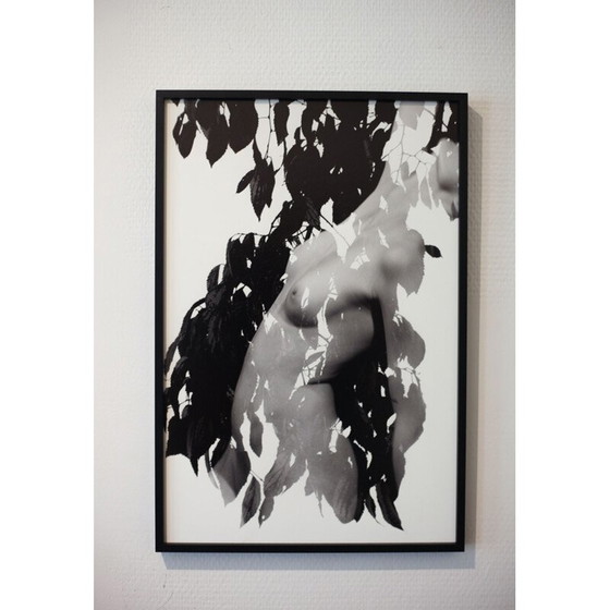 Image 1 of Dipinto vintage Mouvements Naturels 01 di Meïdhy Bichon