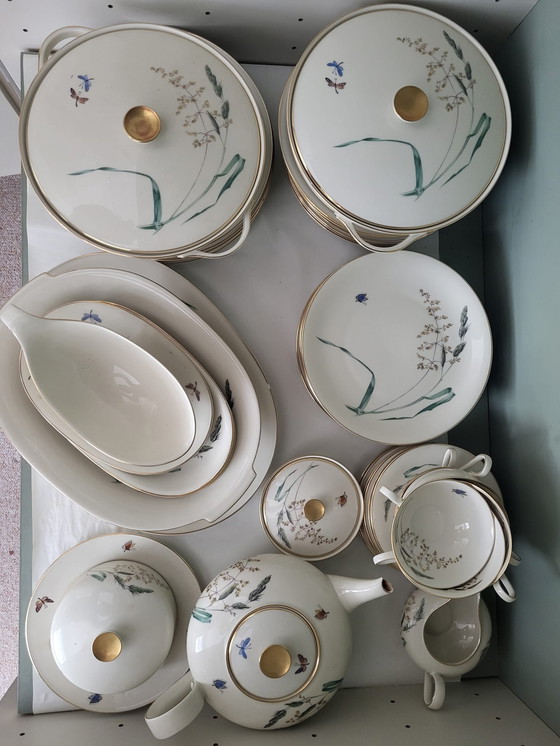 Image 1 of Porcelain dinnerware 50s