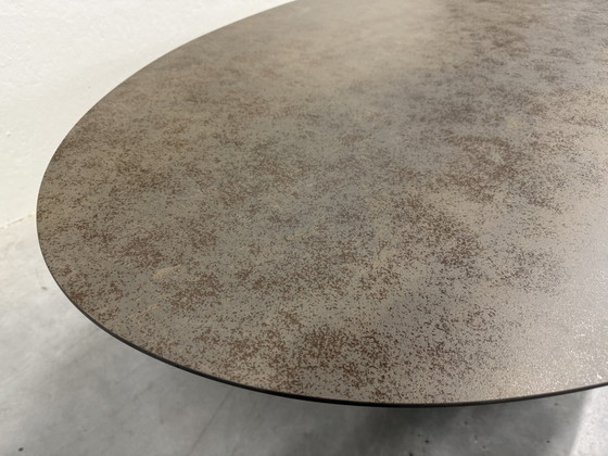 Image 1 of Tavolo da pranzo ovale Harvink Fier 240x120 Iron Moss