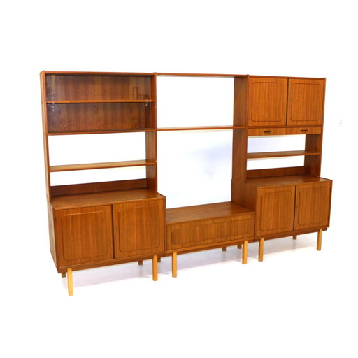 Scandinavian teak and beech bookcase by Brantorps 1960 Sweden