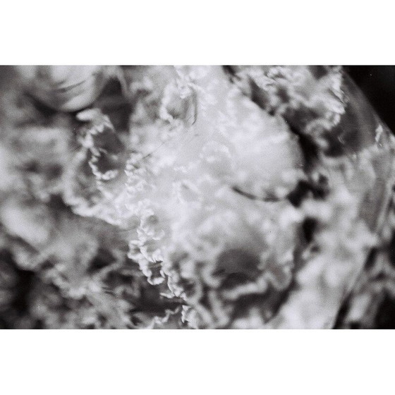 Image 1 of Vintage silver painting natural movements 07 by Meïdhy Bichon, 2019