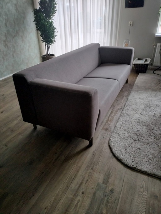 Rolf Benz Grata - Design sofa