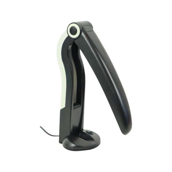 Image 1 of Toucan Lamp H.T. Huang
