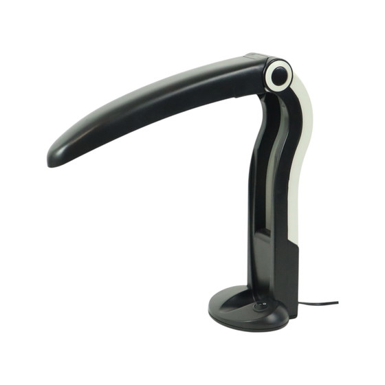 Image 1 of Toucan Lamp H.T. Huang