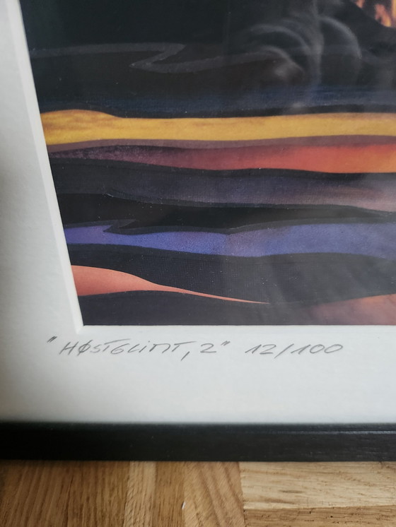 Image 1 of 2x Eva Schmutterer signed northern lights