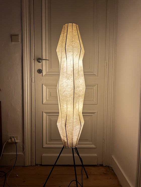 Image 1 of Cocoon Floor Lamp