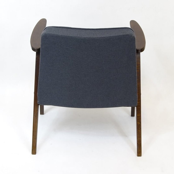 Image 1 of Polish 366 Armchair by Józef Chierowski for Dolnośląska Fabryka Mebli - 1960s