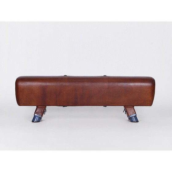 Image 1 of Vintage gymnastic leather pommel horse bench, Czechoslovakia 1930s