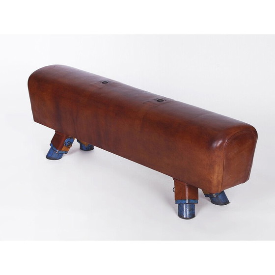 Image 1 of Vintage gymnastic leather pommel horse bench, Czechoslovakia 1930s