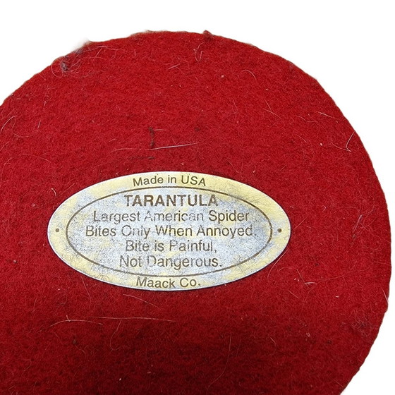 Image 1 of Tarantole vintage montate in resina epossidica USA anni '90