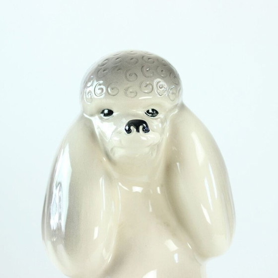 Image 1 of Vintage Poodle Statue in Porcelain by Jikohera Czechoslovakia 1960s