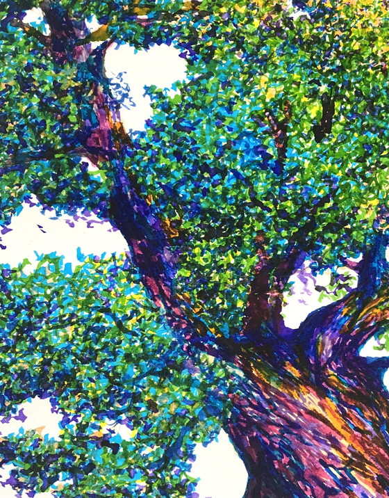 Image 1 of Grumpy Tree