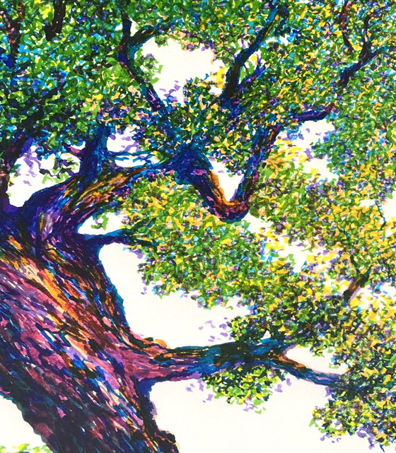 Image 1 of Grumpy Tree