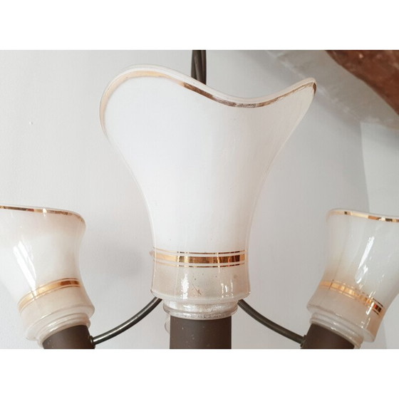 Image 1 of Lampadario vintage con arum 1950