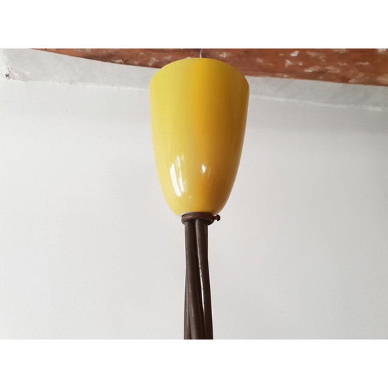 Image 1 of Lampadario vintage con arum 1950