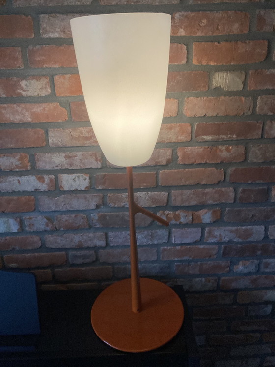 Image 1 of Foscarini Birdie Tavolo Design Table Lamp