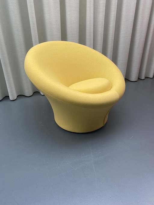 Artifort Mushroom armchair