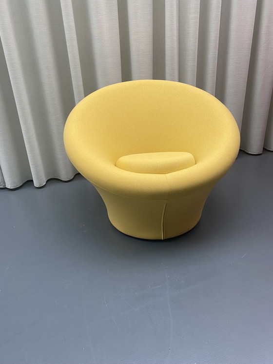 Image 1 of Artifort Mushroom armchair