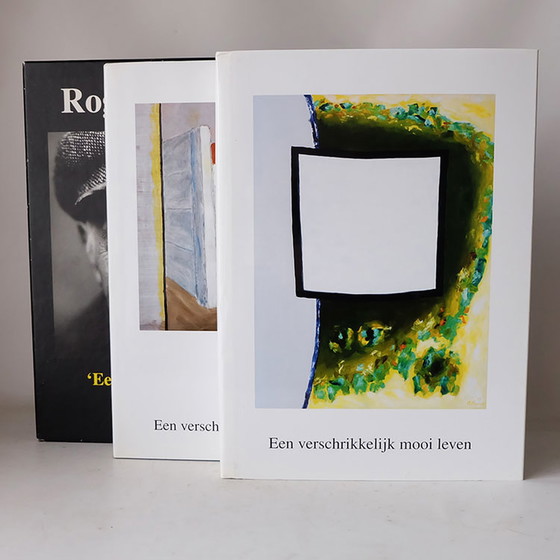 Image 1 of Roger Raveel - A terribly beautiful life. 2 books in slipcase.